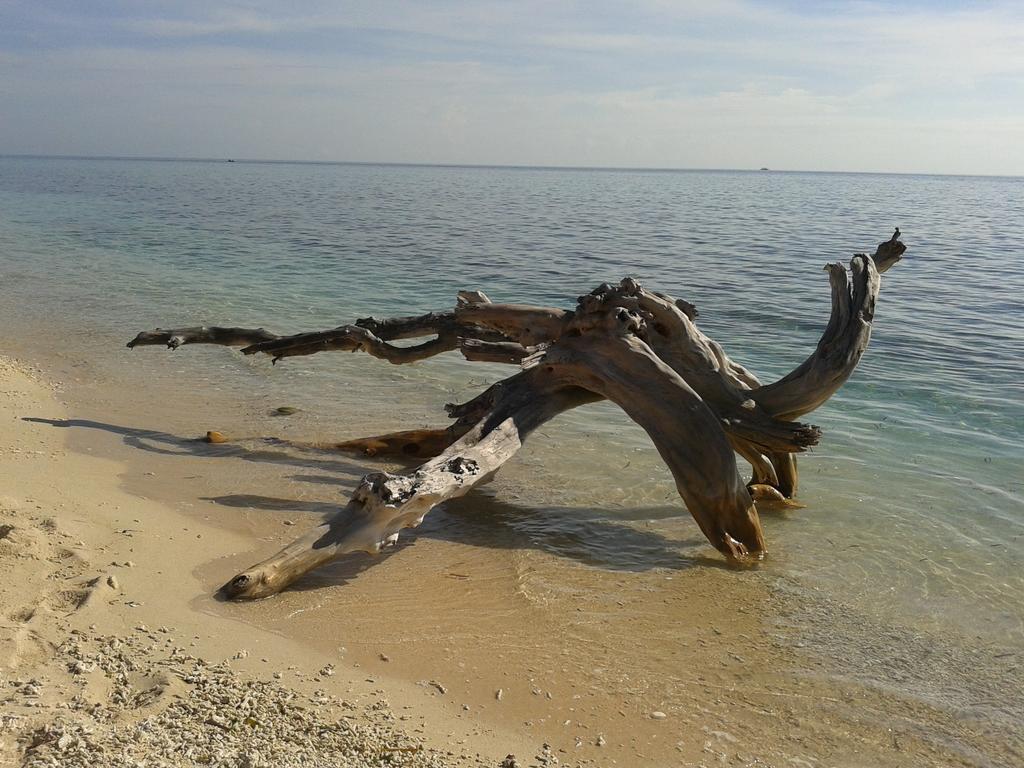 Putri Homestay Gili Meno Kültér fotó
